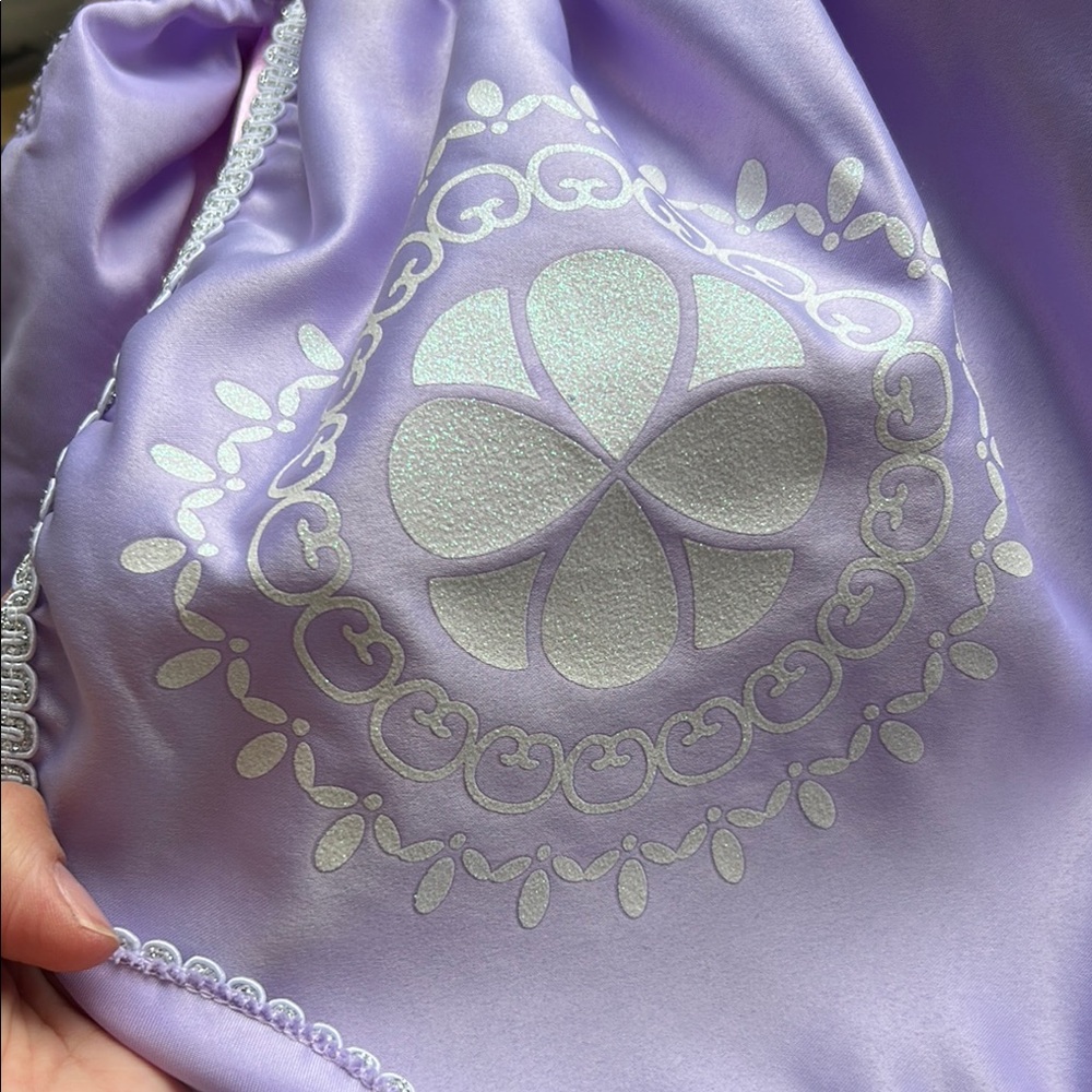 Purple and Pink Princess Dress - Princess Sophia the First - Picture 3 of 5